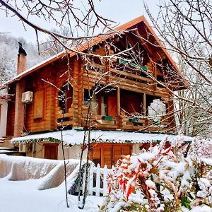 Dajti Paradise Resort